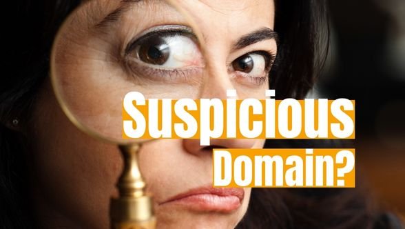 Suspicious Domain Checker by Alaikas​